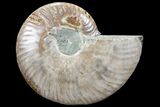 Agatized Ammonite Fossil (Half) - Madagascar #78600-1